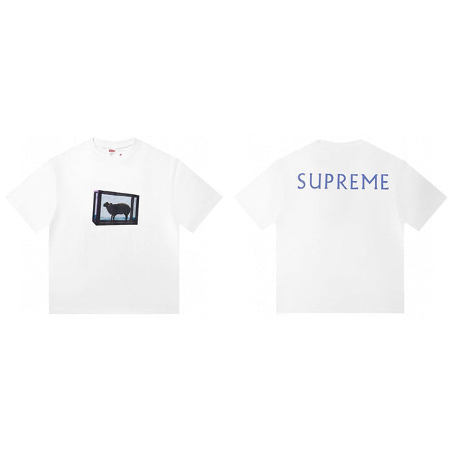 Cross border supply, foreign trade wholesale, trendy brand Supreme, short sleeved American BOX, classic 240g top, T-shirt with half sleeves, 10 (13) Hover Image