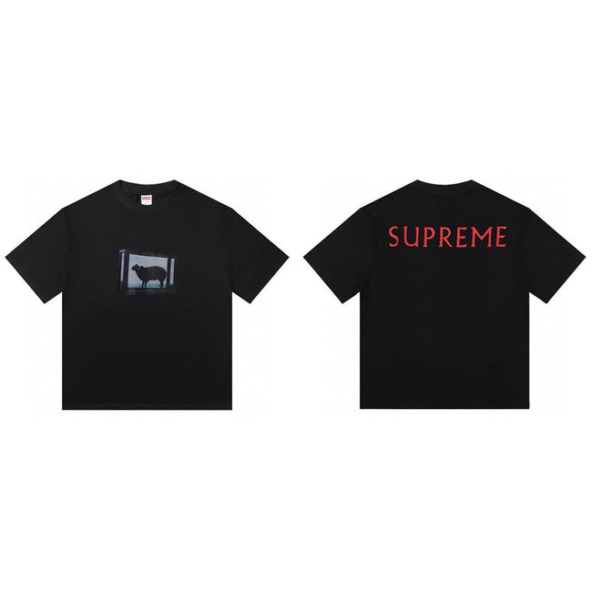 Cross border supply, foreign trade wholesale, trendy brand Supreme, short sleeved American BOX, classic 240g top, T-shirt with half sleeves, 10 (14) Hover Image