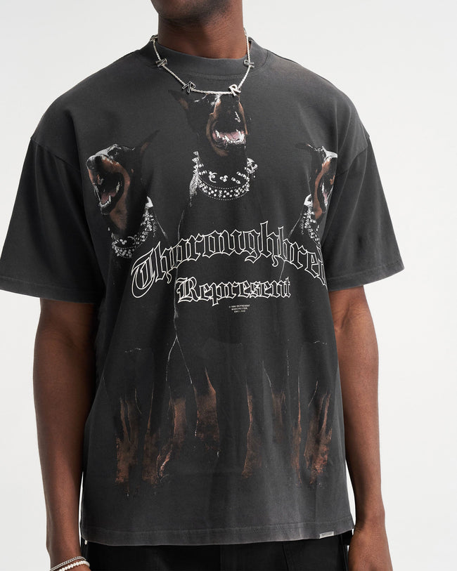 Thoroughbred T-Shirt - Vintage Black Main Image